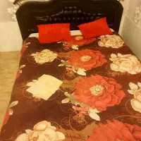 سوئیت اجاره ای ماهانه هفتگی روزانه|اجارهٔ کوتاه‌مدت آپارتمان و سوئیت|مشهد, هفت تیر (نه دره)|دیوار