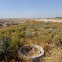 فروش زمین کشاورزی