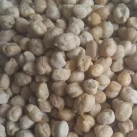 نخود ، ، نخود،،