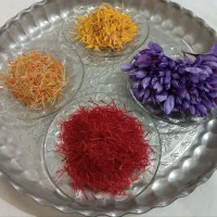 خرید و فروش نگین زعفران و ریشه