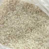 برنج فجر