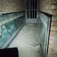 انواع کاشی سرامیک کار میکنم