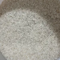 برنج پر محصول مازندرانی