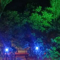 باغ ویلایی و باغ شهری|فروش خانه و ویلا|ارژن, |دیوار