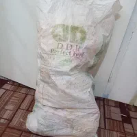 عروسک دخترانه درحد نو|اسباب‌‌بازی|مشهد, موسوی قوچانی|دیوار