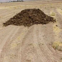 کودبار حیوانی گاوی گوسفندی و مرغی|خدمات باغبانی و درختکاری|تربت‌حیدریه, چهارراه خواف|دیوار