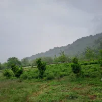 فروش۶۰۰متر زمین با پروانه/محمدی خسروابادی