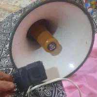 نان خشک و کارتن