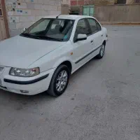 شاسی پلم ،یک برگ سند،دوگانه دست،رینگ دارد