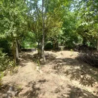 باغ-انگور-حدود-600-متر-با-دو-ساعت-آب-ملکی