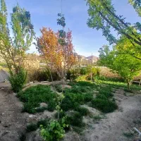 زمین-باغی-قلب-شهر