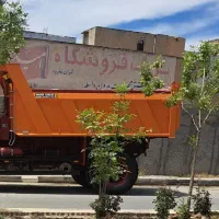اتاق بنز تک نونو