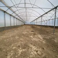 فروش زمین گلخانه‌ای زنان متراژ 7100متر|فروش دفتر صنعتی، کشاورزی، تجاری|قدس, زرنان پایین|دیوار