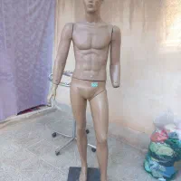 مرد
