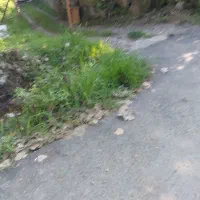 ۳۵۰‌متری‌کوجصفهان رودبارکی