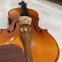 ویولن کارل هافنر|ویولن|زنجان, |دیوار