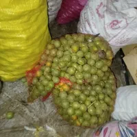 گردو|خوردنی و آشامیدنی|اصفهان, نقش جهان|دیوار