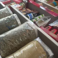 داروهای گیاهی