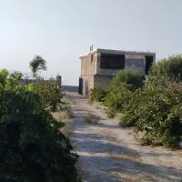 فروش باغ به متراژ 2060متر با زمین تجاری|فروش مغازه و غرفه|شیراز, کوشک بیدک|دیوار