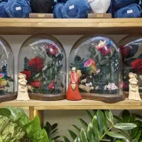 گل روز جاودان|گل مصنوعی|مشهد, آزادشهر|دیوار