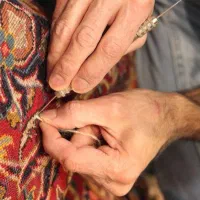 قالیشویی سازمان آب بهشتی ولایت شیردم کاج پارس سپه