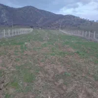 زمین به مساحت 4600متر  سر جاده اصلی|فروش دفتر صنعتی، کشاورزی، تجاری|خاو و میرآباد, |دیوار