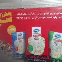 استخدام نیسان یخچالی