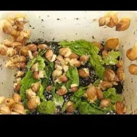 حلزون برای پرورش جوانسازی پوست رایگان