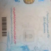 کیف دستی گمشده