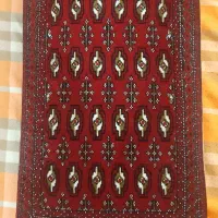 انواع پشتی لاکی رنگ