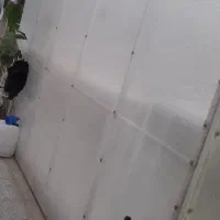 فروش کلبه|فروشگاه و مغازه|اردکان, |دیوار