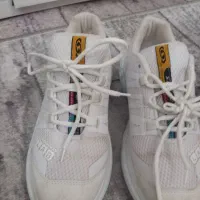 کفش|کیف، کفش، کمربند|کرمانشاه, |دیوار