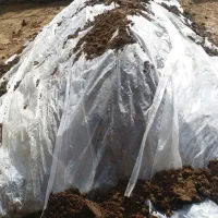 کود حیوانی پوسیده شده