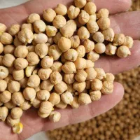 نخود روس و کانادایی