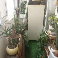 155متری 3خواب شیک ادیب جنوبی۱ امامیه۲|فروش آپارتمان|مشهد, ولیعصر (شهرک غرب)|دیوار