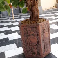 درخچه مصنوعی سیب|گل مصنوعی|زابل, |دیوار