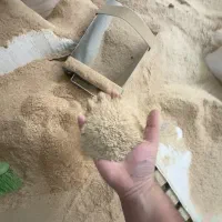 سبوس گندم ،خوراک دام و طیور
