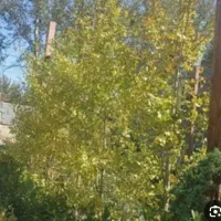 خانه ویلایی بروجرد