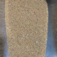 بذر علف محلی