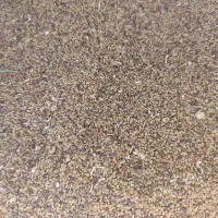بذر یونجه|خدمات باغبانی و درختکاری|داراب, |دیوار