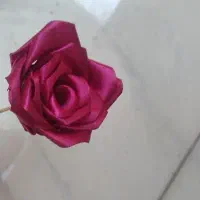 گل ربانی