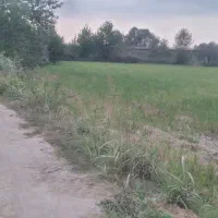 زمین کشاورزی|فروش دفتر صنعتی، کشاورزی، تجاری|کیاشهر, |دیوار