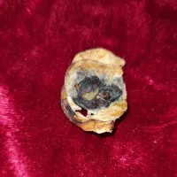 سنگ عین الذیب