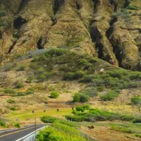 باغ-در-حاجی-اباد-جای-خوب