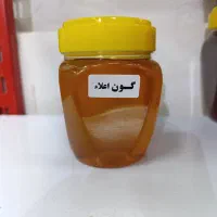 عسل طبیعی اعلا کوهستان|خوردنی و آشامیدنی|قم, صدوق|دیوار