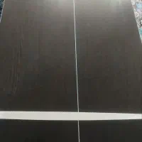 پینگ پنگ