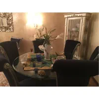 صندلی میزناهارخوری و میزبان