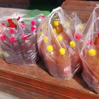 پخش عمده ابلیمو وابغوره|خوردنی و آشامیدنی|تهران, ارامنه|دیوار