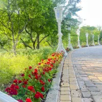 باغ عروسی