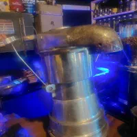 دستگاه اب هویج گیر و مرکبات صنعتی